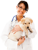 Cat and Dog - Discount for Pets at agilityRx.com